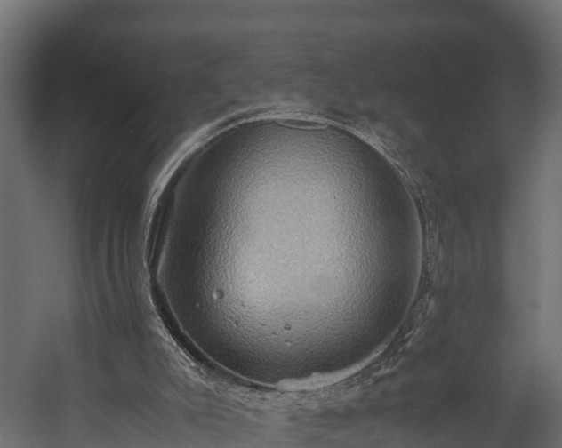 X0000058130007200509261312