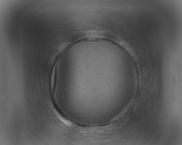 X0000058130009200509261312