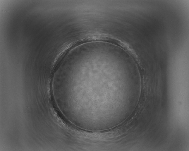 X0000058130010200509261312