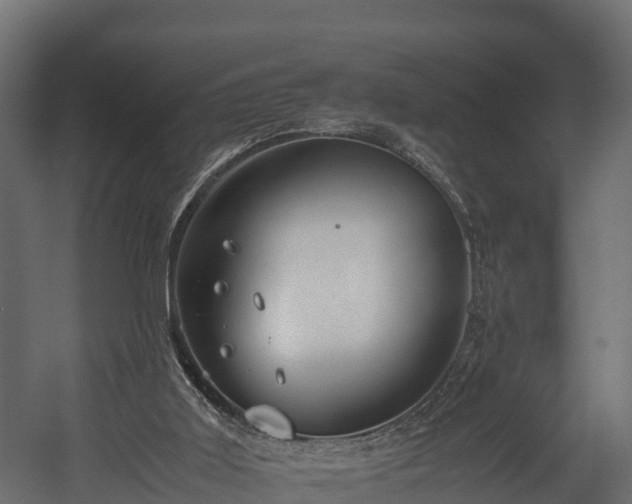 X0000058130011200509261312