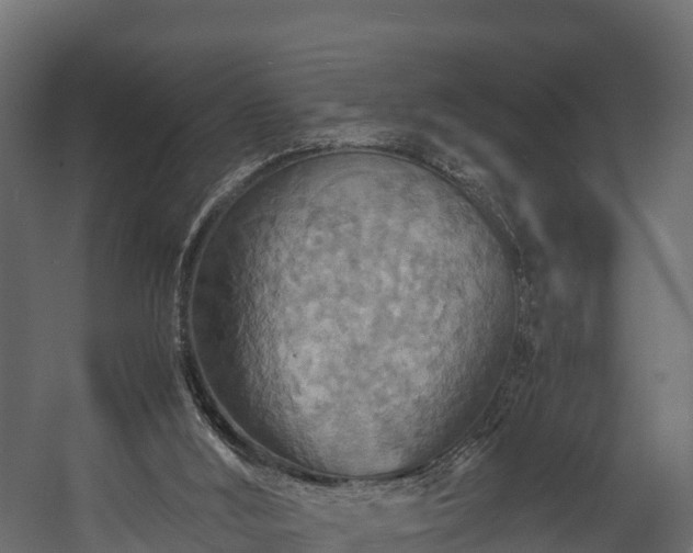 X0000058130012200509261312