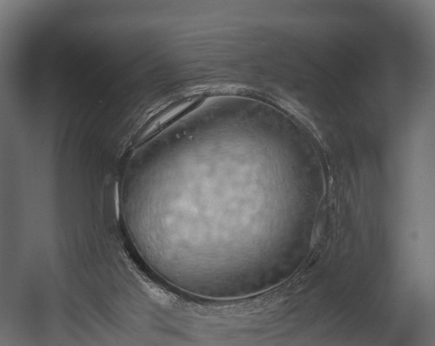 X0000058130013200509261312