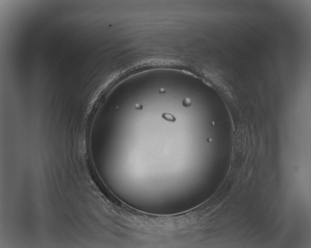 X0000058130015200509261312