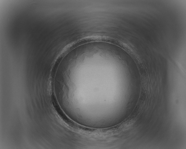 X0000058130016200509261312