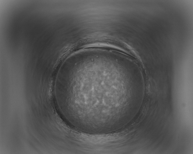 X0000058130018200509261312