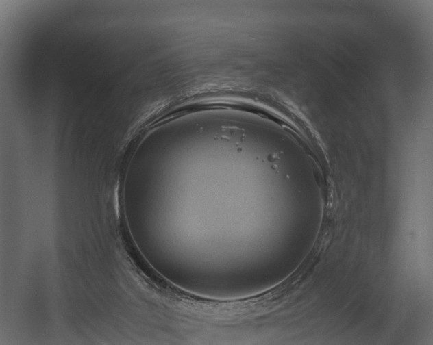 X0000058130019200509261312