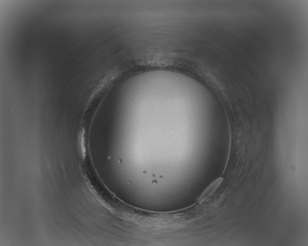 X0000058130020200509261312