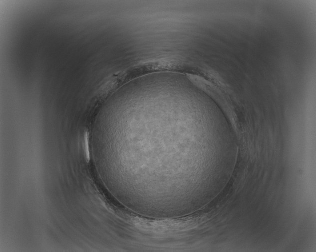 X0000058130022200509261312