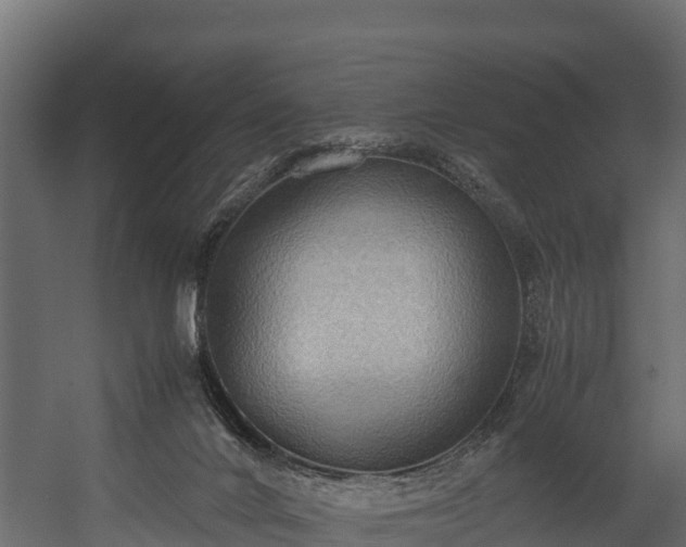 X0000058130024200509261312