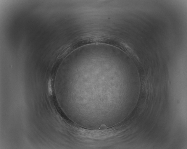 X0000058130026200509261312