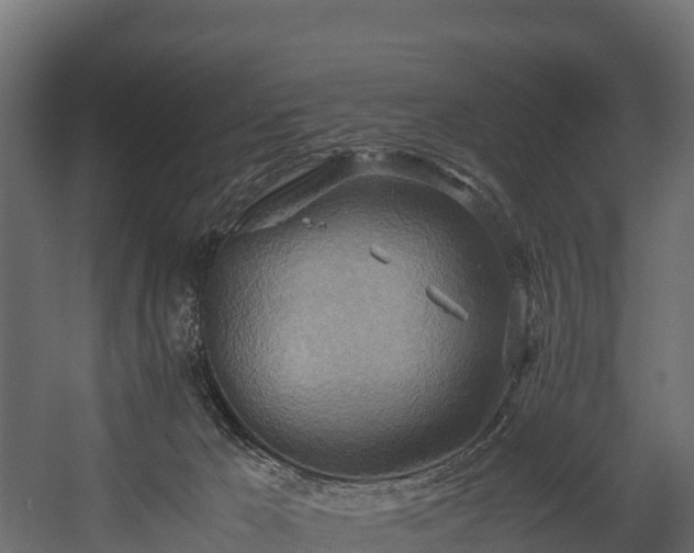 X0000058130029200509261312