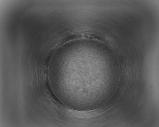 X0000058130030200509261312