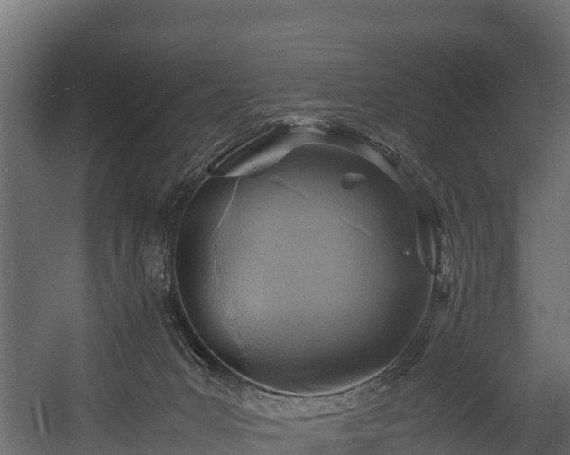 X0000058130031200509261312