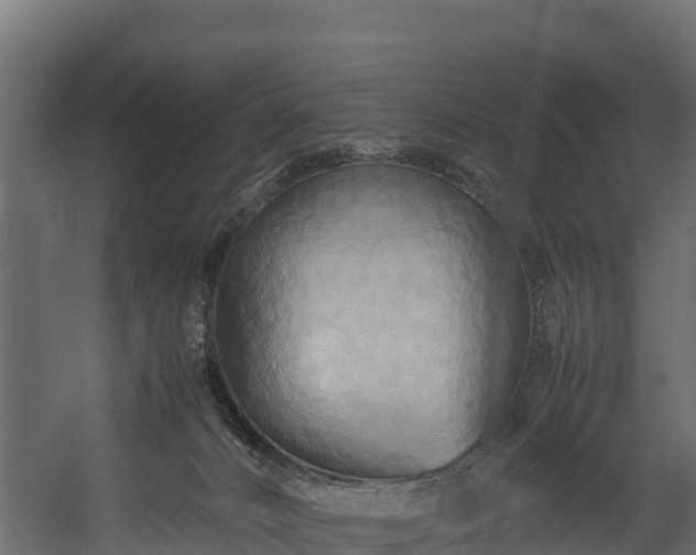 X0000058130032200509261312