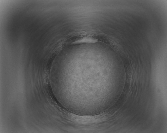 X0000058130034200509261312