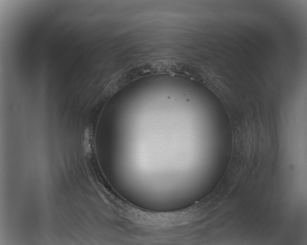 X0000058130038200509261312