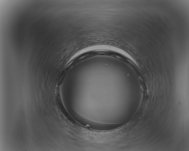 X0000058130039200509261312