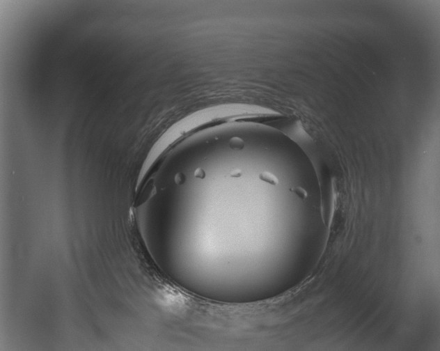 X0000058130041200509261312