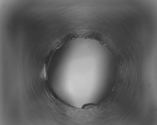 X0000058130042200509261312