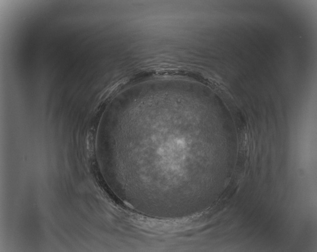 X0000058130043200509261312