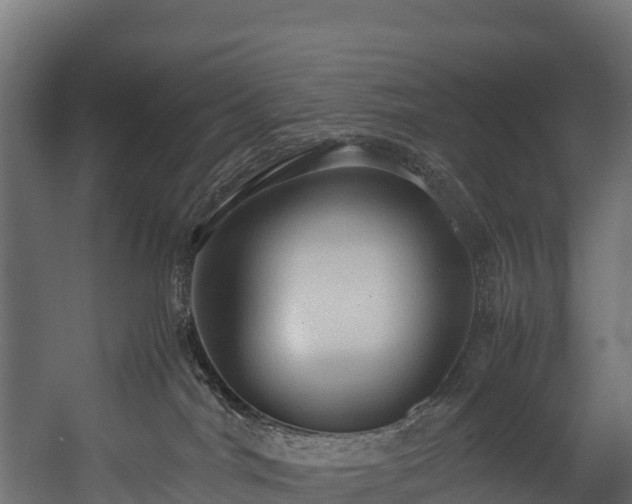 X0000058130044200509261312