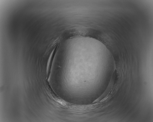 X0000058130045200509261312