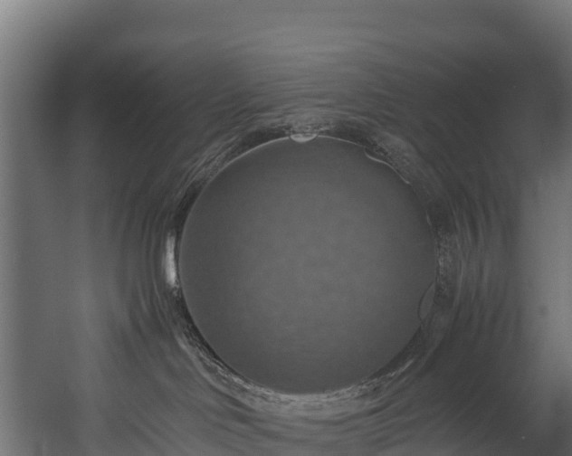 X0000058130046200509261312