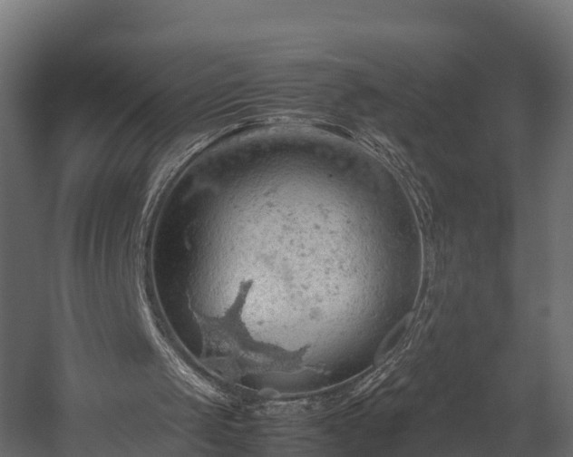 X0000058130049200509261311