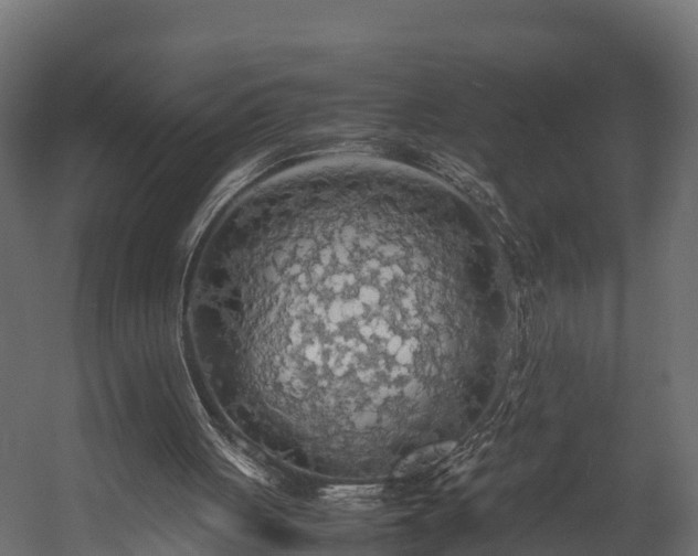 X0000058130051200509261311