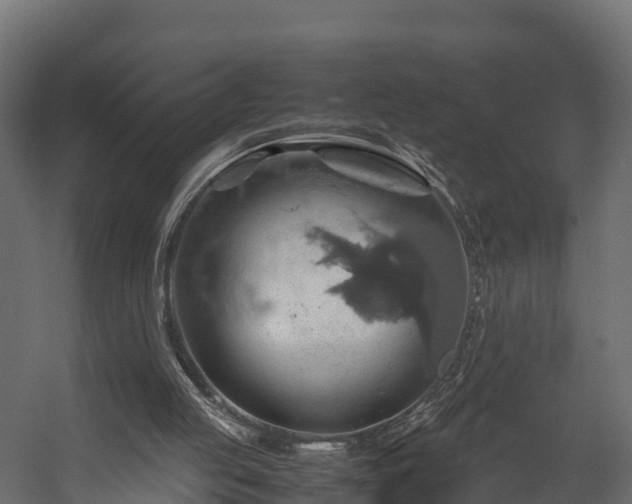 X0000058130053200509261311