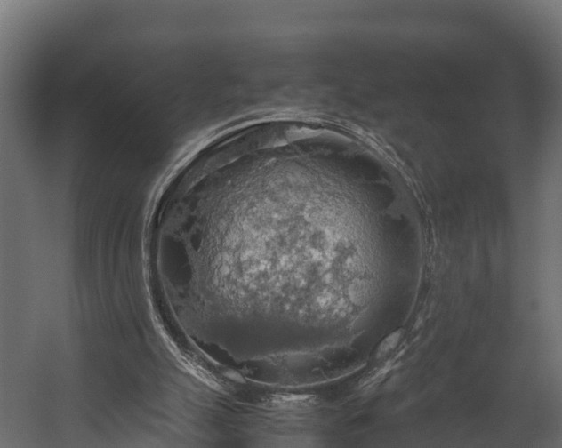 X0000058130055200509261311