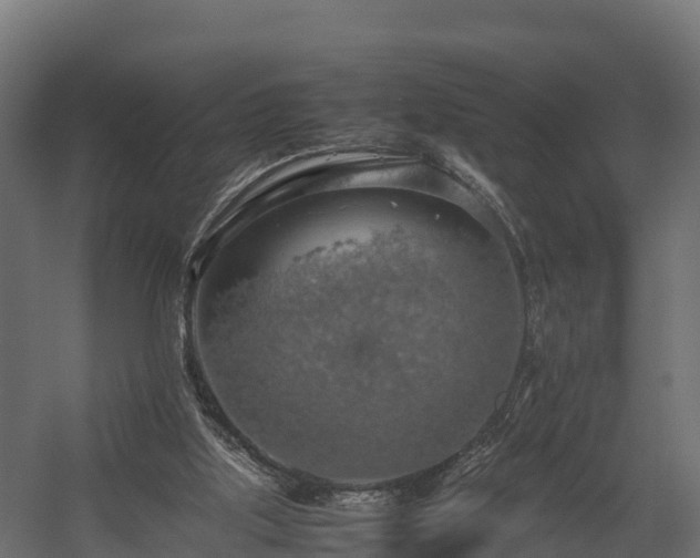 X0000058130059200509261311