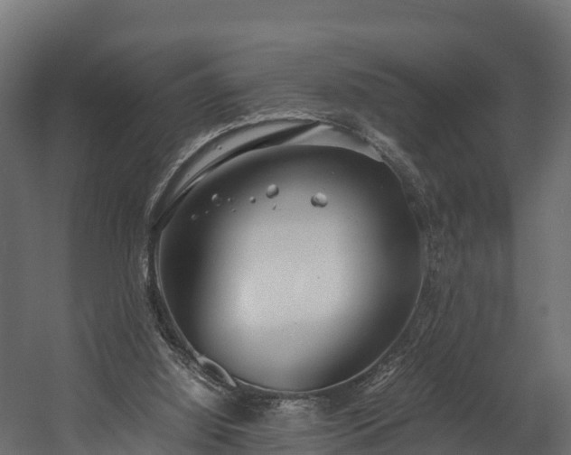 X0000058130060200509261311