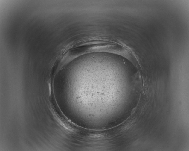 X0000058130061200509261311