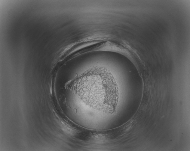 X0000058130062200509261311