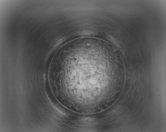 X0000058130063200509261311