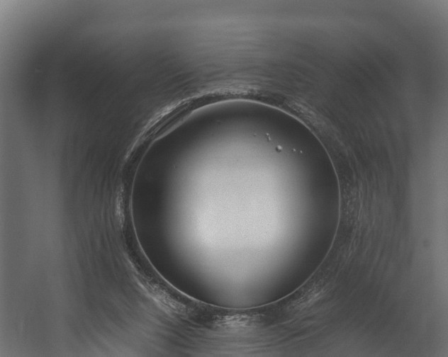 X0000058130064200509261311