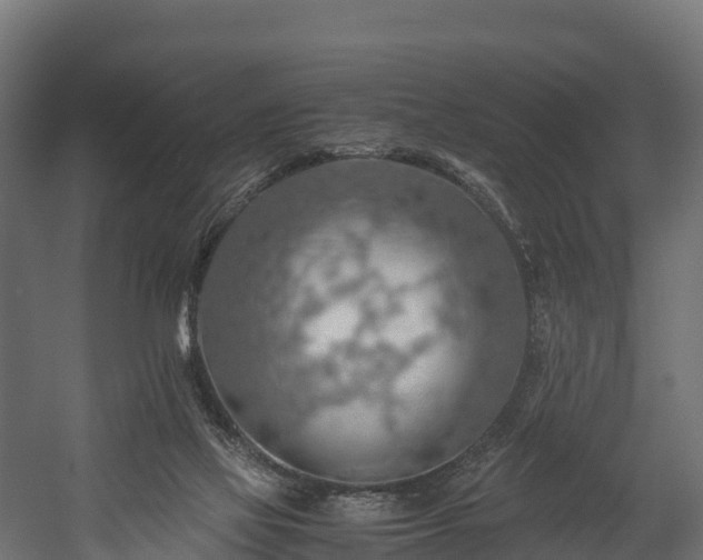 X0000058130069200509261311