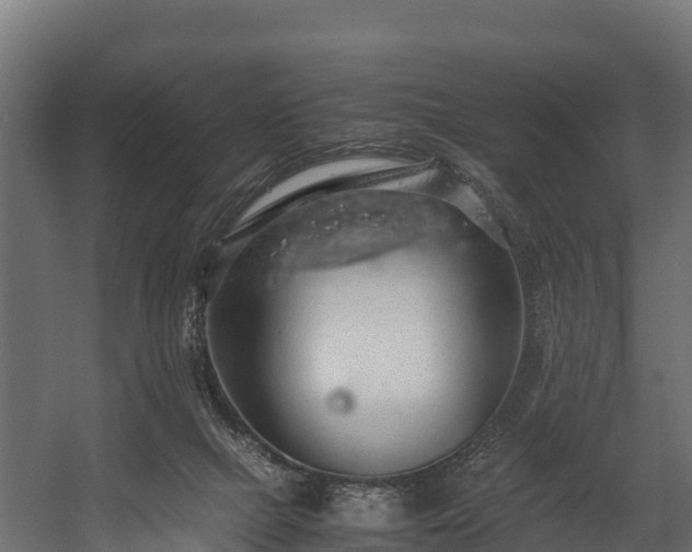 X0000058130073200509261311