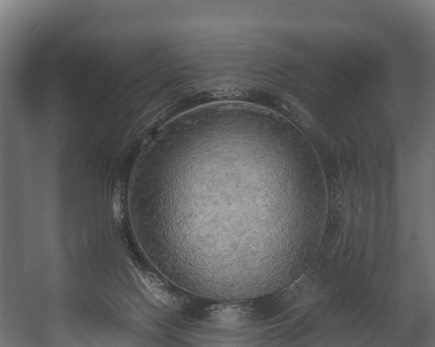 X0000058130074200509261311