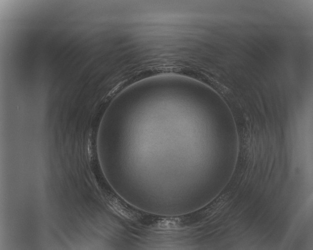 X0000058130080200509261311