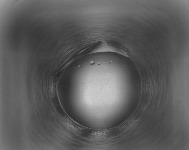 X0000058130084200509261312