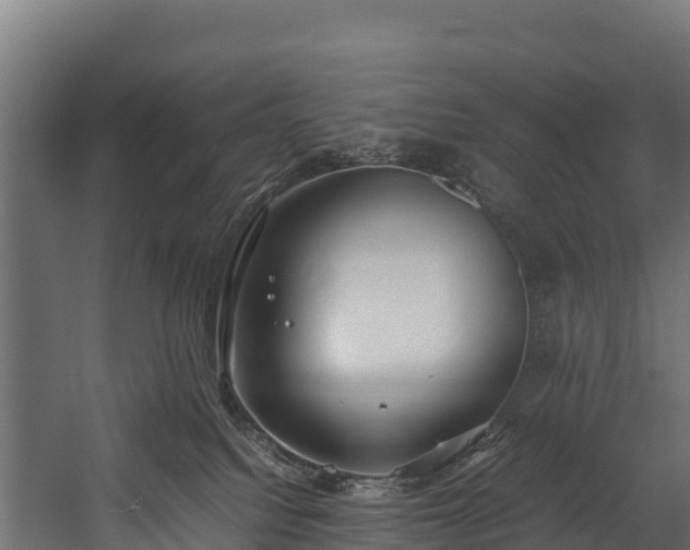 X0000058130088200509261312