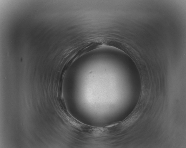 X0000058130096200509261312