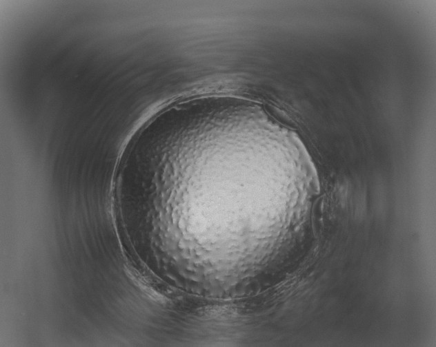 X0000058130100200509261311