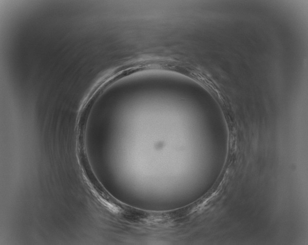 X0000058130101200509261311