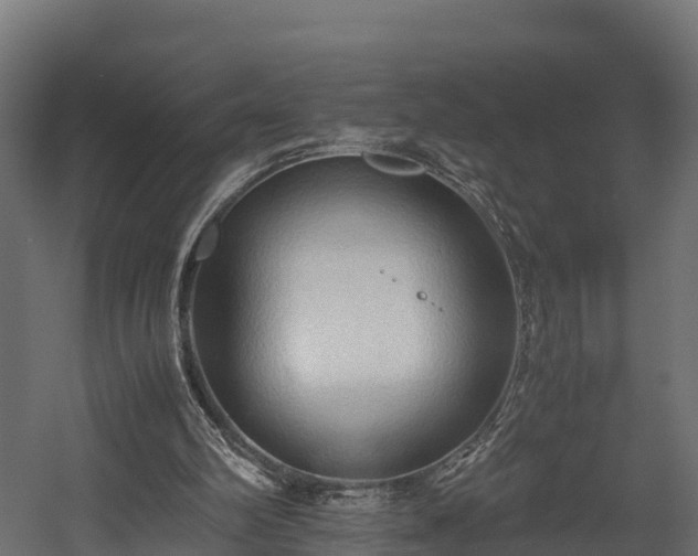 X0000058130102200509261311