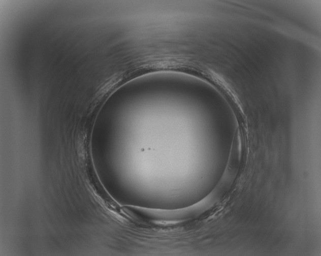 X0000058130105200509261311