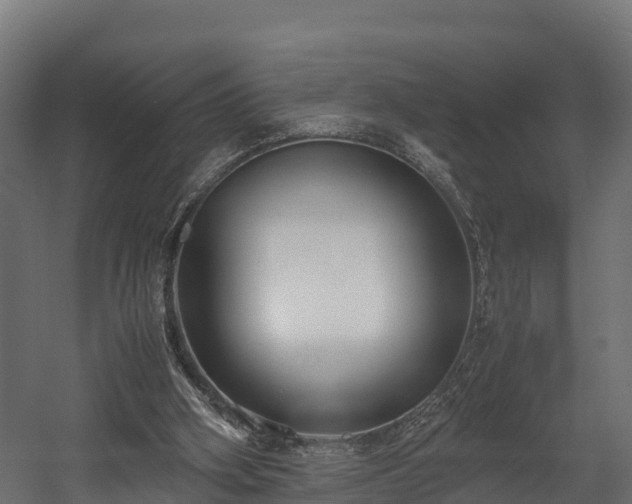 X0000058130106200509261311