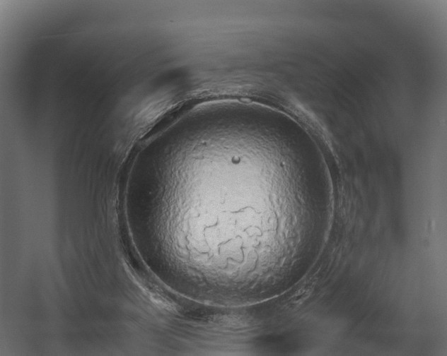 X0000058130107200509261311